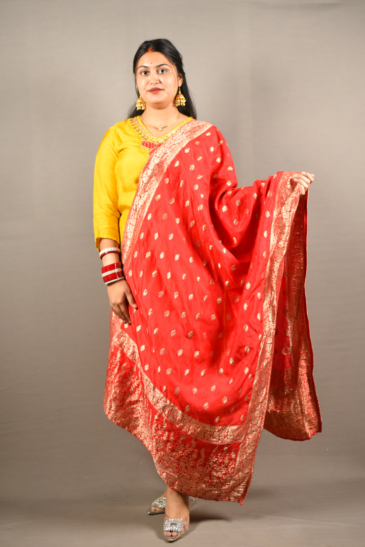 Yellow Dola silk with cotton lining and yoke lining with Banarasi