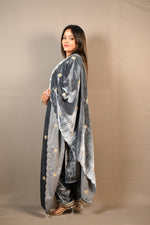 Load image into Gallery viewer, Grey Soft Premium Velvet Zari Work Suit
